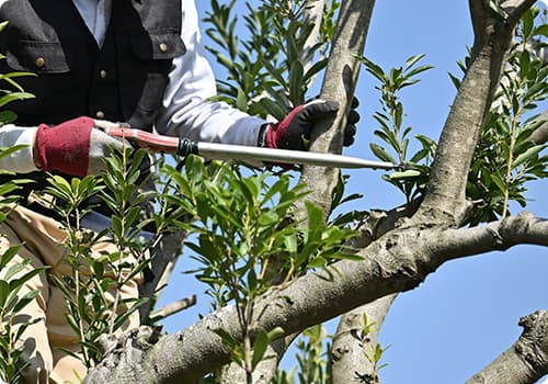 経験よりも、やる気を大切にしています